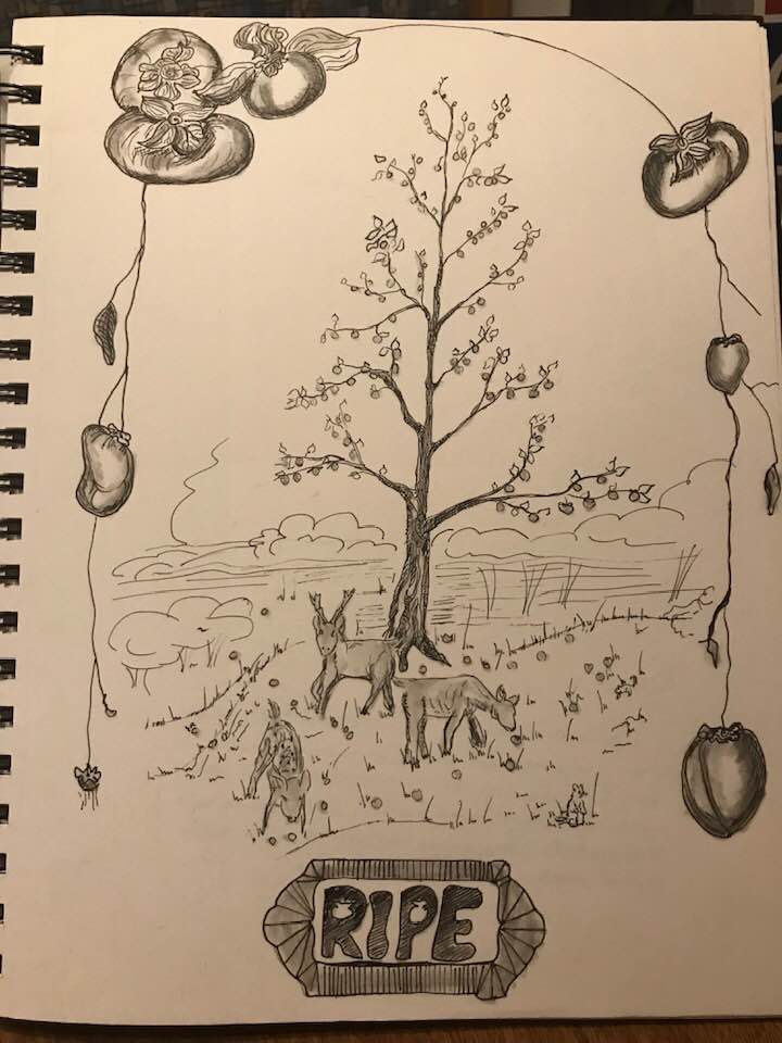 Image: "Ripe" Persimmon Trees and deer eating ripe fruit